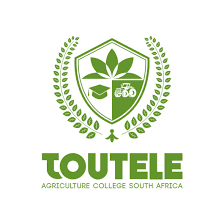 Toutele College